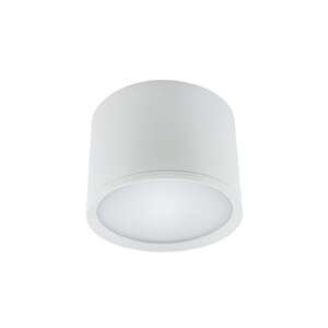 Struhm Rolen 3108 plafon okrągły tuba lampa sufitowa spot 10x7cm 1x7W LED 4100K biały