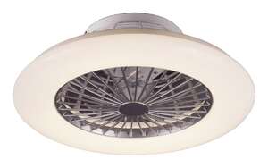 Rabalux Dalfon 6859 plafon lampa sufitowa 1x30W LED srebrny/biały