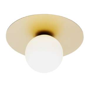 Argon Spello 8262 plafon lampa sufitowa 1x7W E14 złoty/opal mat - wysyłka w 24h