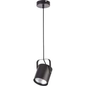 Sigma Flesz 31077 lampa wisząca zwis 1x60W E27 czarna