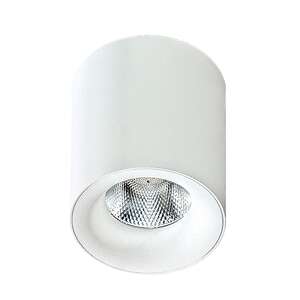 Azzardo Mane AZ2845 plafon lampa oprawa sufitowa natynkowa tuba spot 1x10W LED 3000K biały