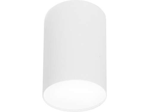 Spot Nowodvorski Plexi L 6528 plafon lampa natynkowa downlight 1x20W E27 biały  >>>  RABATUJEMY do 20% KAŻDE zamówienie !!!